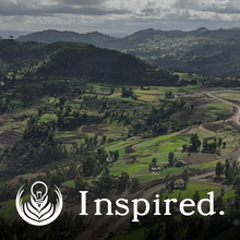 Load image into Gallery viewer, Wandering Bean Subscription